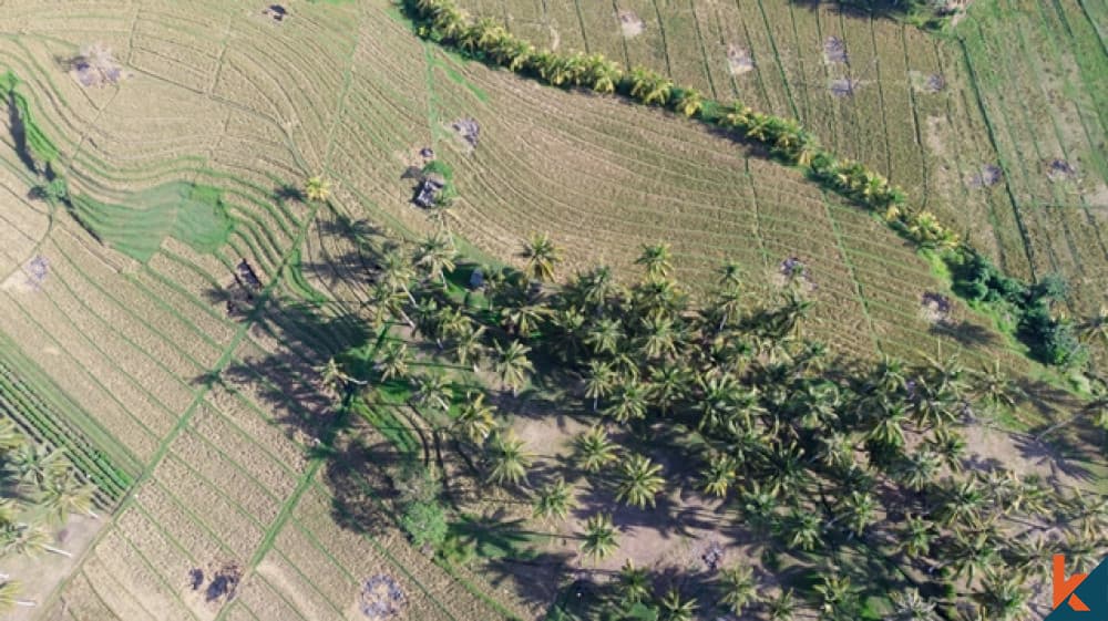 5815 m² Land Plot for Sale in Tabanan, Bali — photo 2