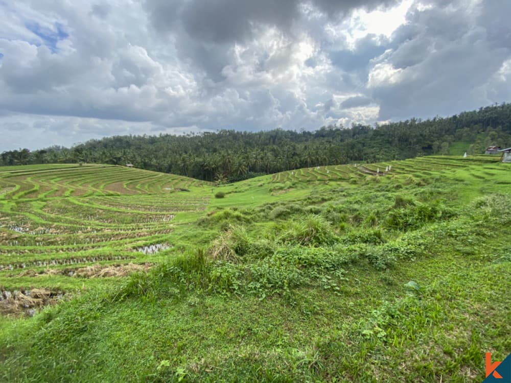6000 m² Land Plot for Sale in Tabanan, Bali