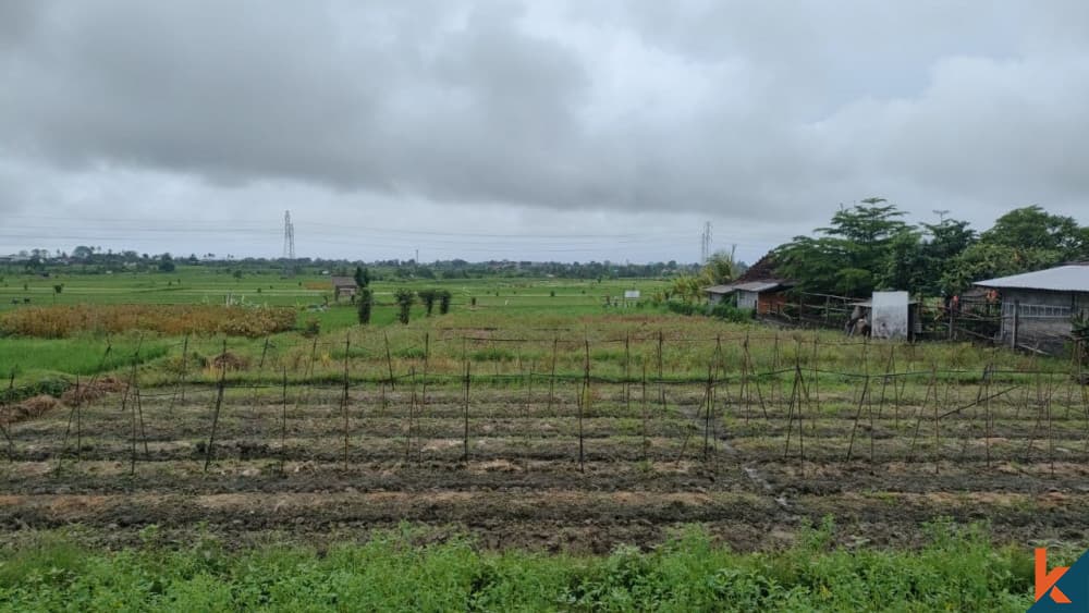 3100 m² Land Plot for Sale in Tabanan, Bali — photo 2