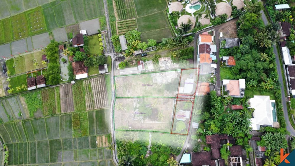 3100 m² Land Plot for Sale in Tabanan, Bali — photo 1