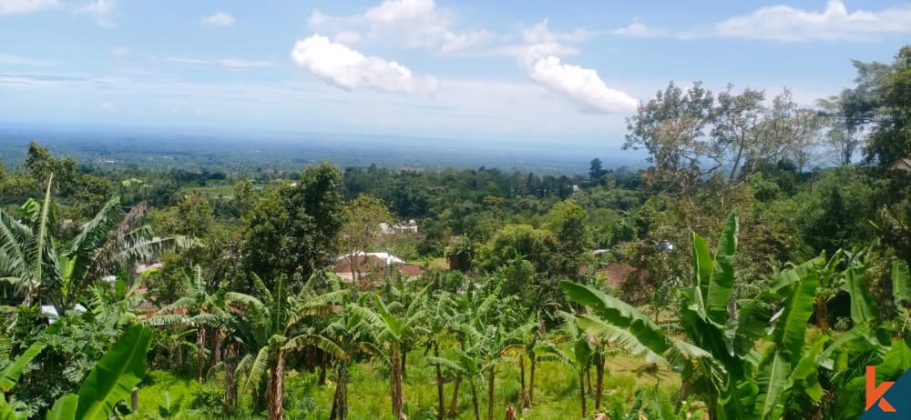7250 m² Land Plot for Sale in Tabanan, Bali — photo 2