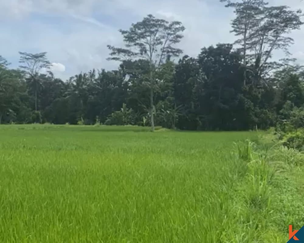 7000 m² Land Plot for Sale in Gianyar, Bali — photo 1