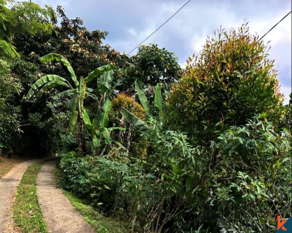 10000 m² Land Plot for Sale in Buleleng, Bali