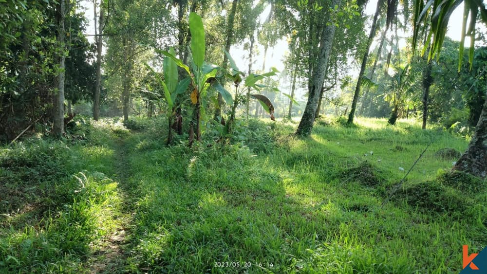 7900 m² Land Plot for Sale in Tabanan, Bali — photo 2