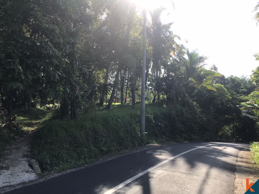 7900 m² Land Plot for Sale in Tabanan, Bali — photo 1