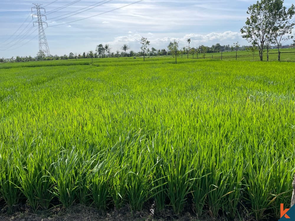 2800 m² Land Plot for Sale in Tabanan, Bali — photo 2