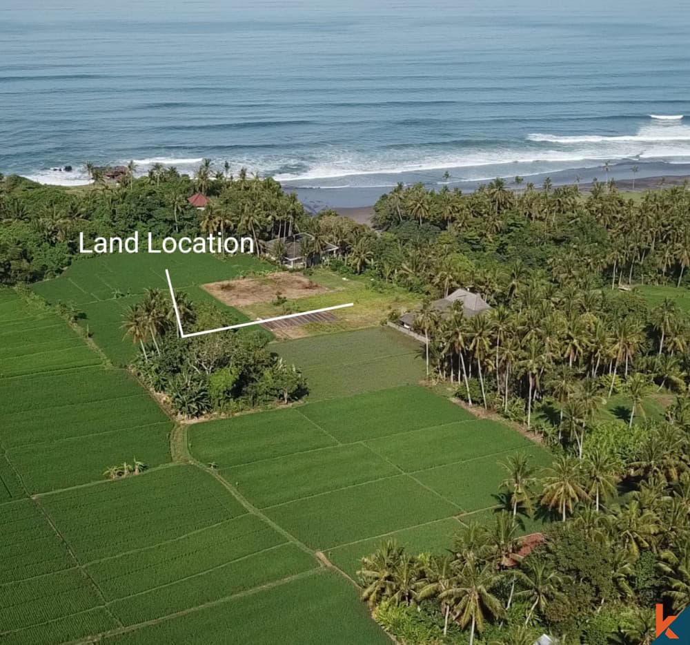 3000 m² Land Plot for Sale in Tabanan, Bali — photo 2