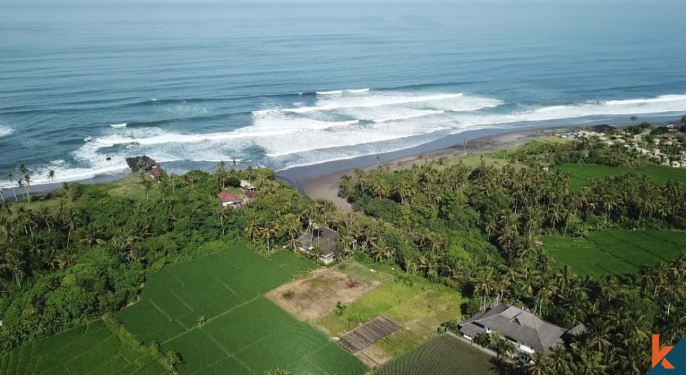 3000 m² Land Plot for Sale Tabanan, Bali, Tabanan