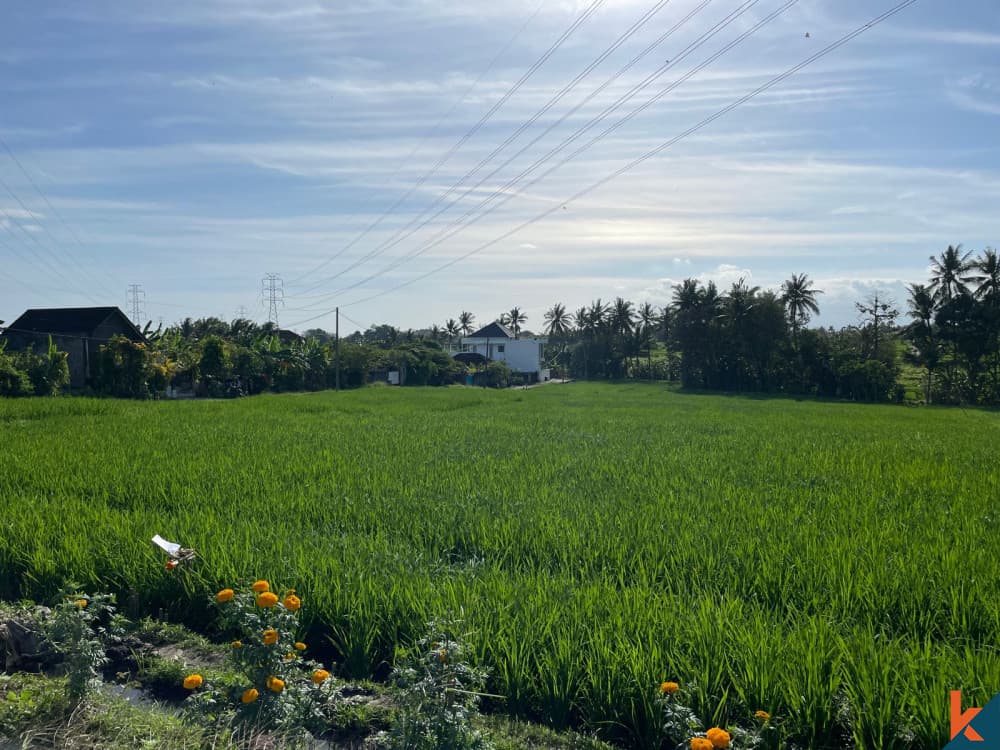 3900 m² Land Plot for Sale in Tabanan, Bali