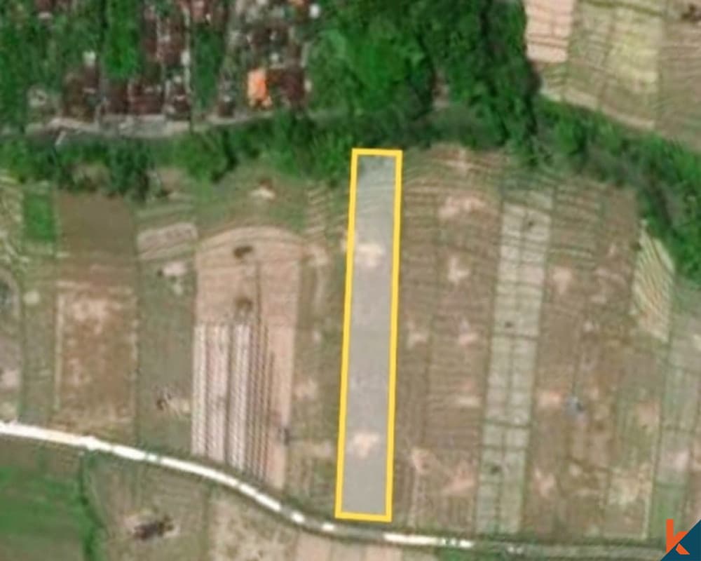 1600 m² Land Plot for Sale in Tabanan, Bali — photo 2