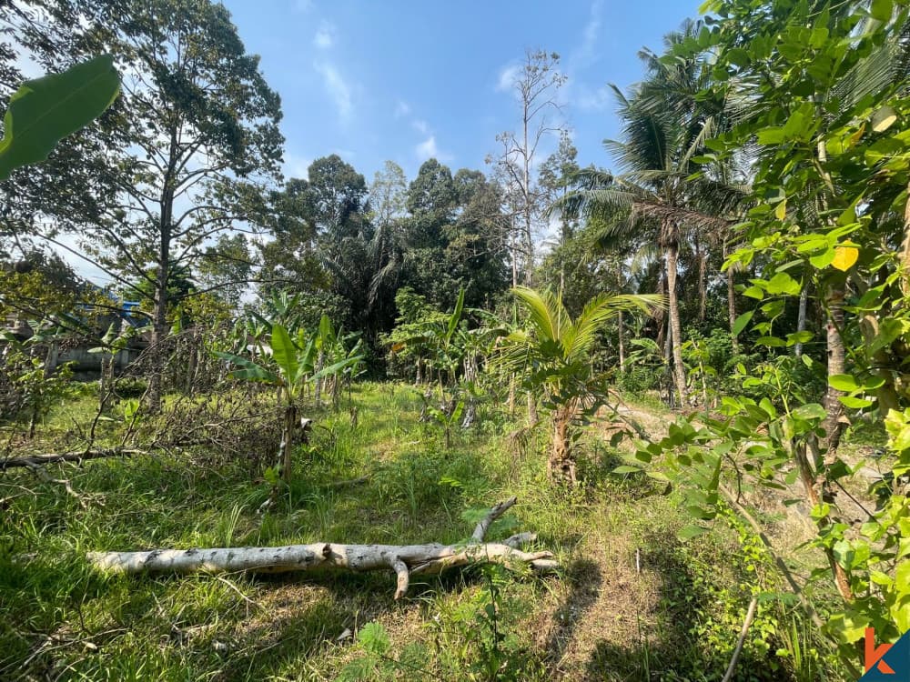 700 m² Land Plot for Sale in Central Bali, Bali — photo 1