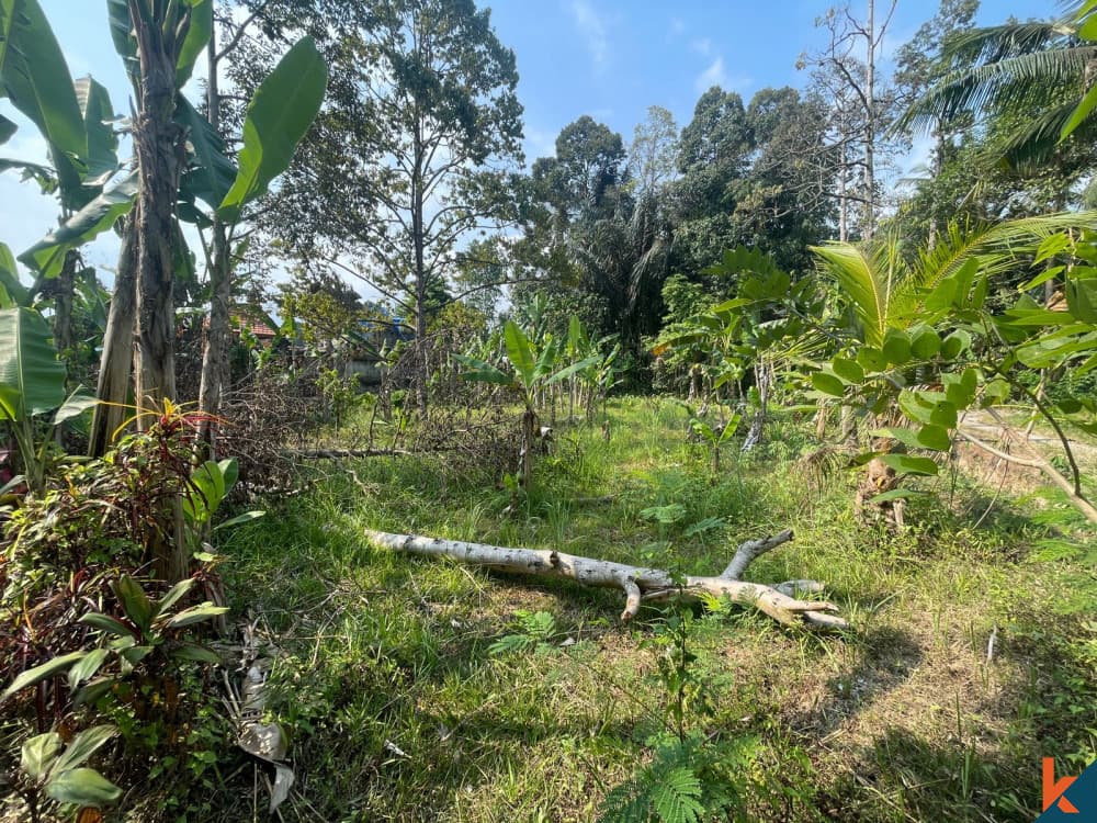 700 m² Land Plot for Sale in Central Bali, Bali — photo 2