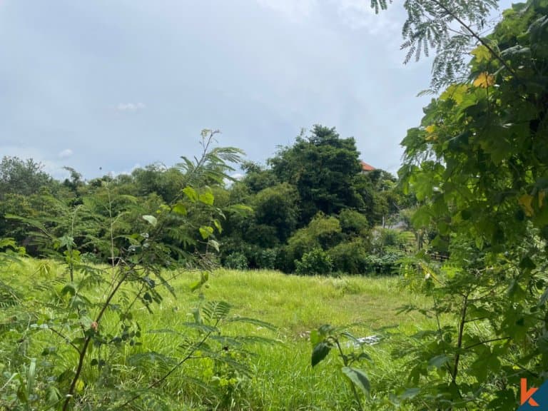 2680 m² Land Plot for Sale in Pererenan, Bali — photo 2