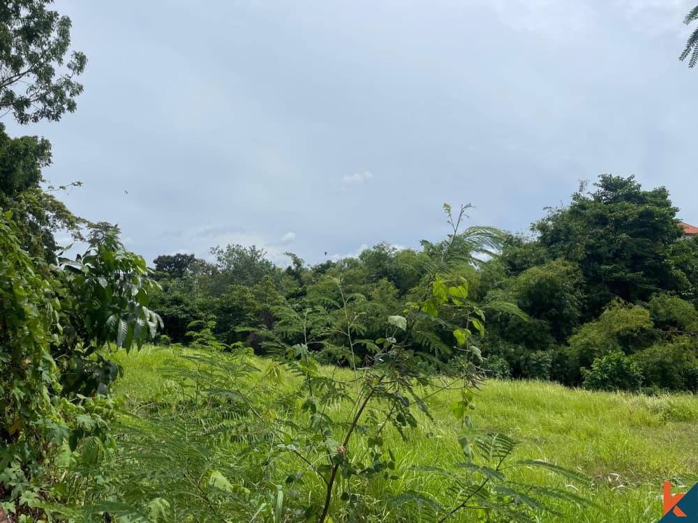 2115 m² Land Plot for Sale in Pererenan, Bali — photo 2