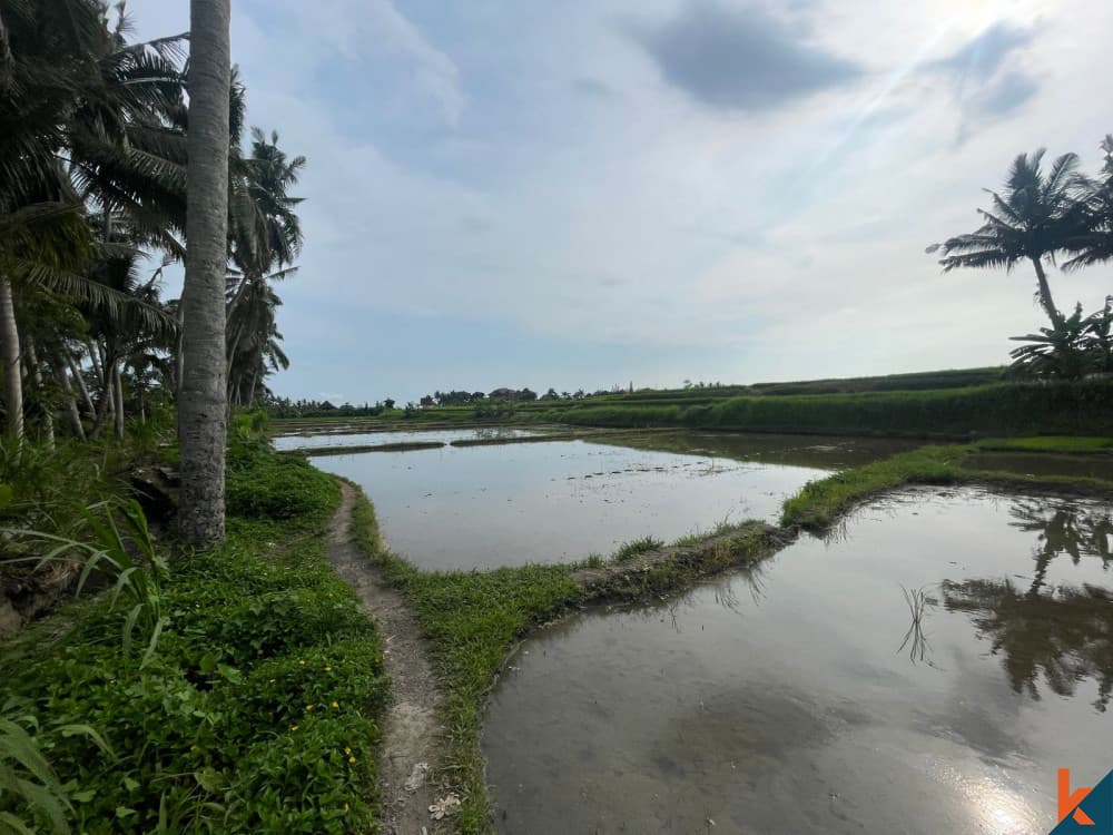 4270 m² Land Plot for Sale in Ubud, Bali