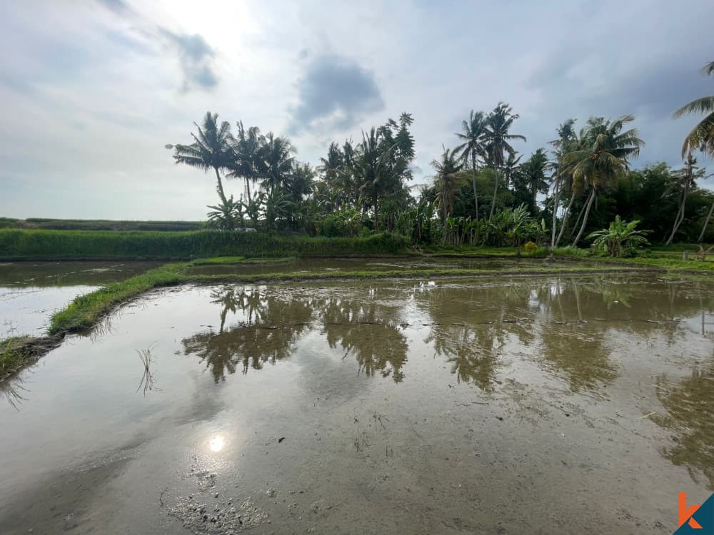 4270 m² Land Plot for Sale in Ubud, Bali — photo 2