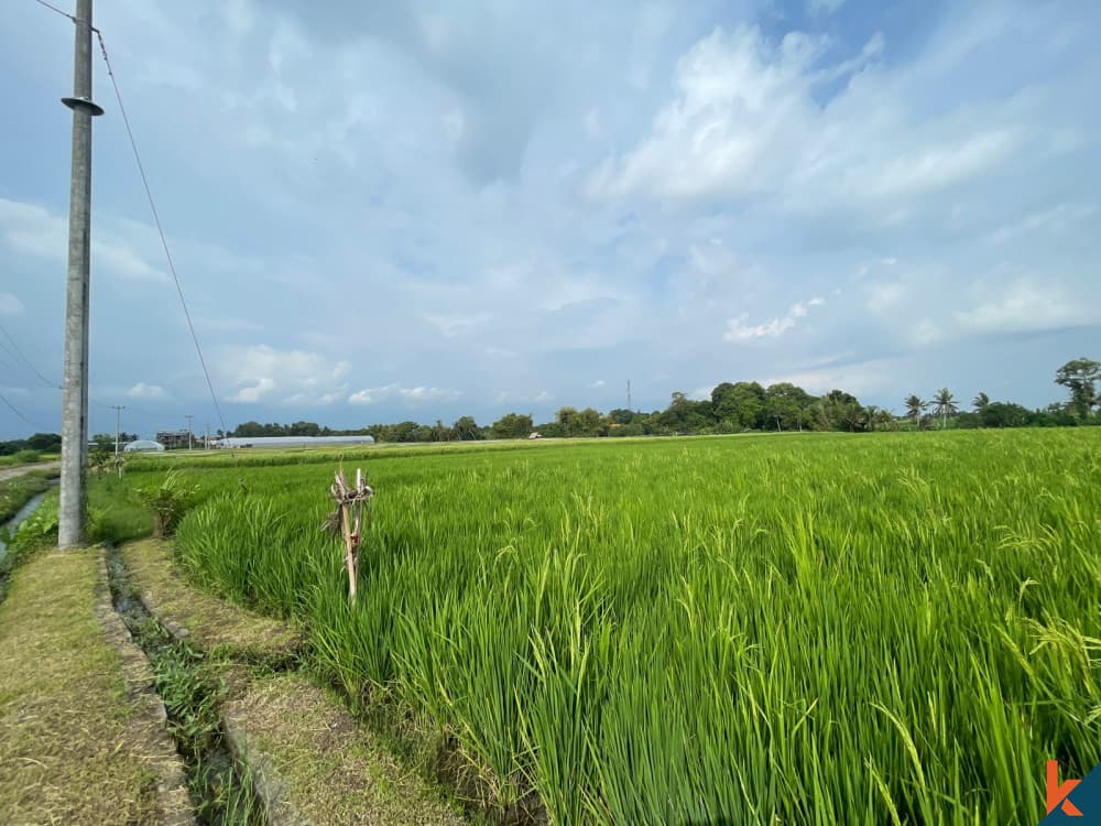 2800 m² Land Plot for Sale in Kedungu, Bali — photo 2