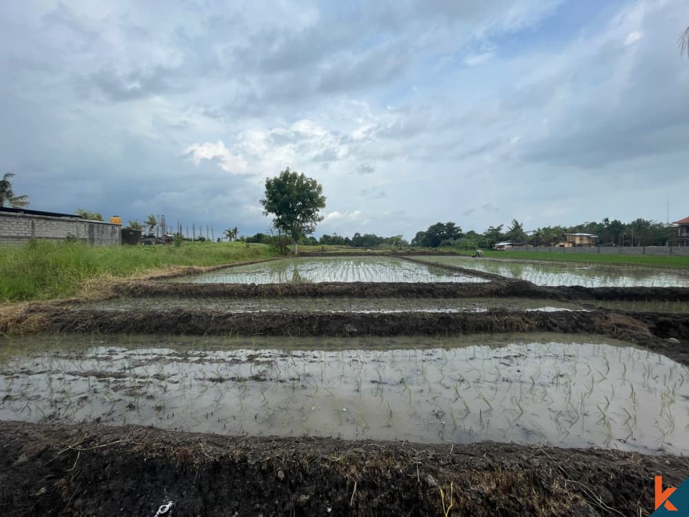 3700 m² Land Plot for Sale in Tabanan, Bali — photo 1