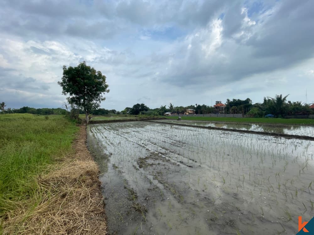 3700 m² Land Plot for Sale in Tabanan, Bali — photo 2