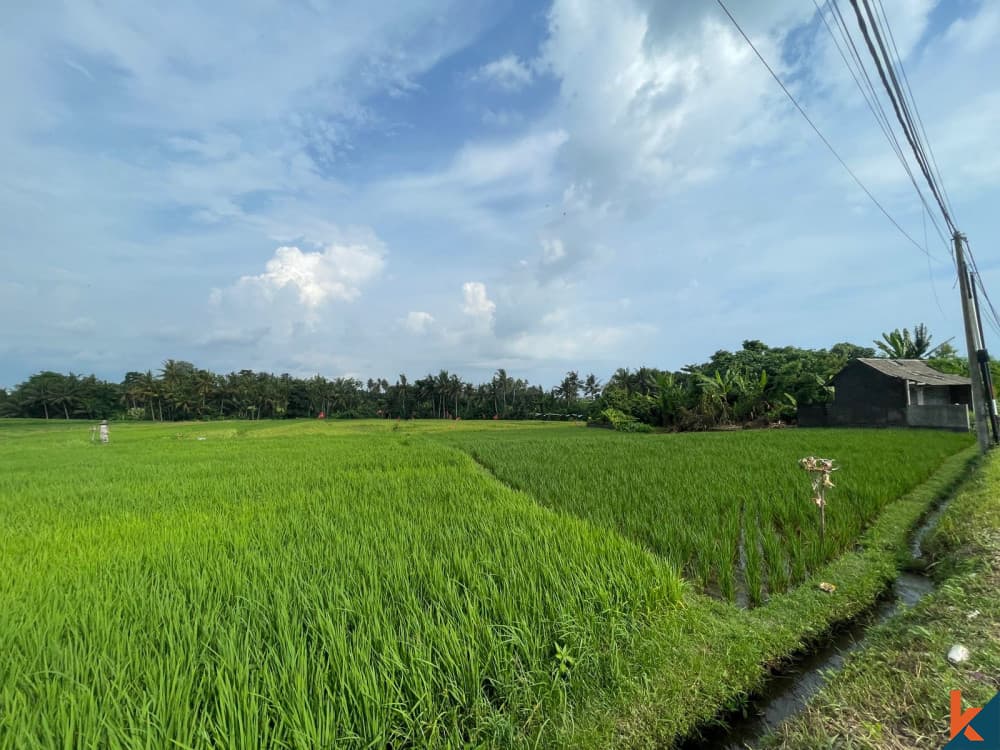 770 m² Land Plot for Sale in Kedungu, Bali — photo 2