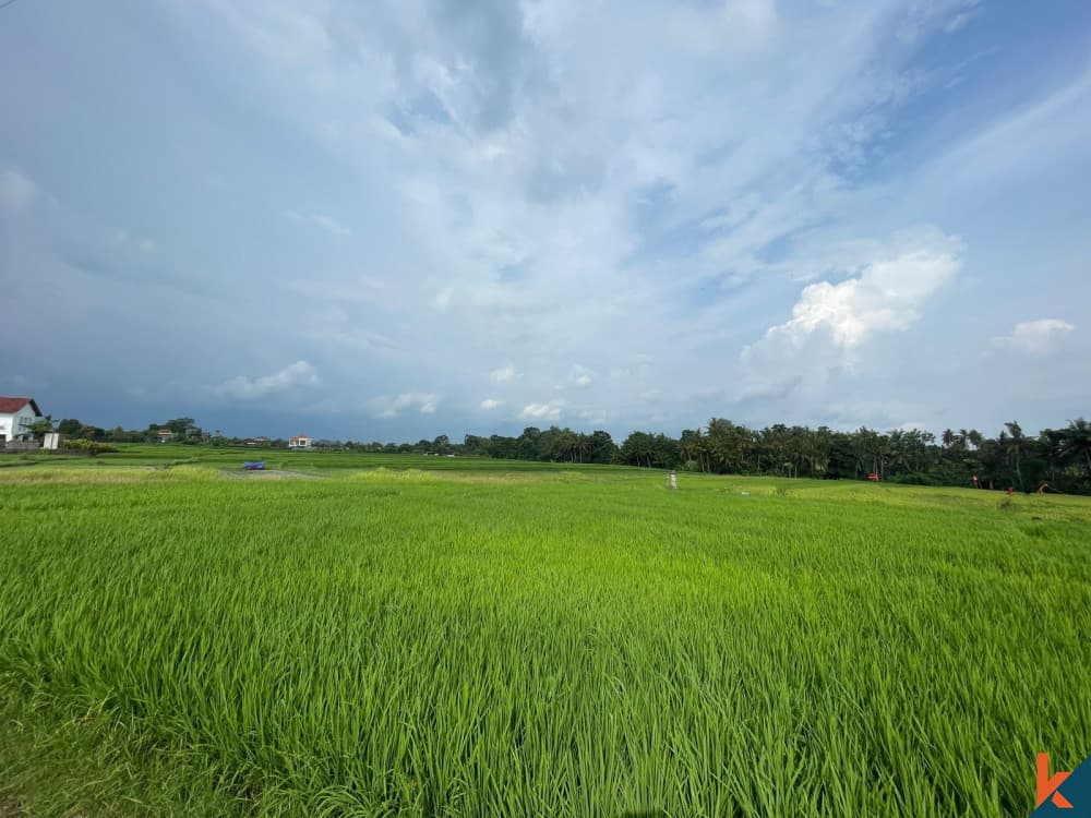 770 m² Land Plot for Sale in Kedungu, Bali
