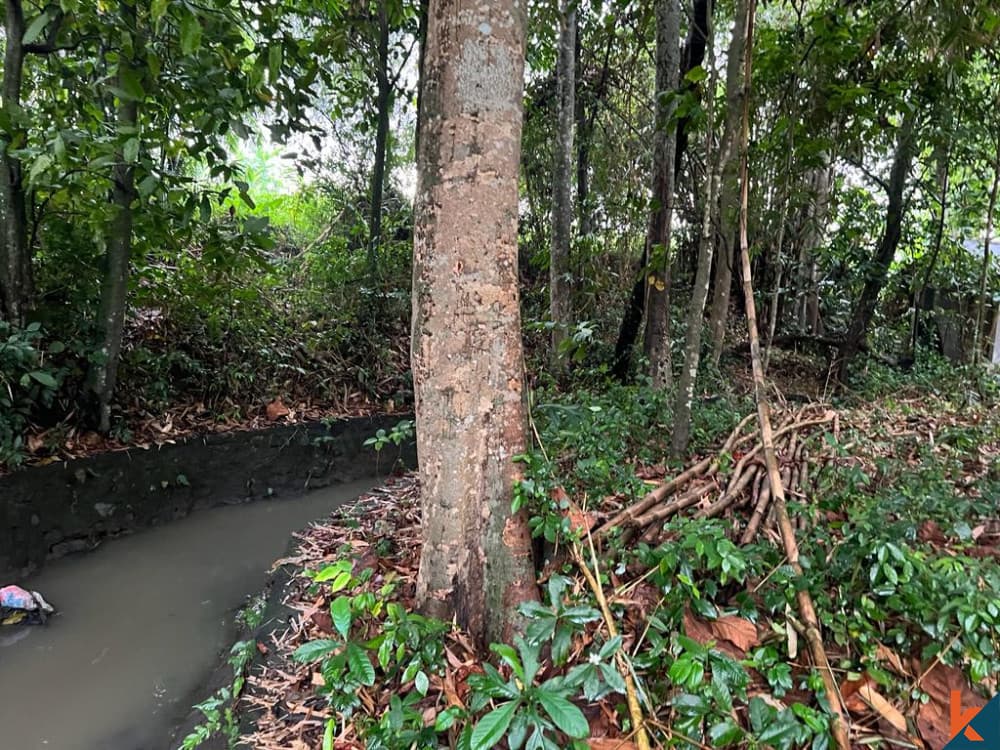 1158 m² Land Plot for Sale in Mengwi, Bali — photo 2