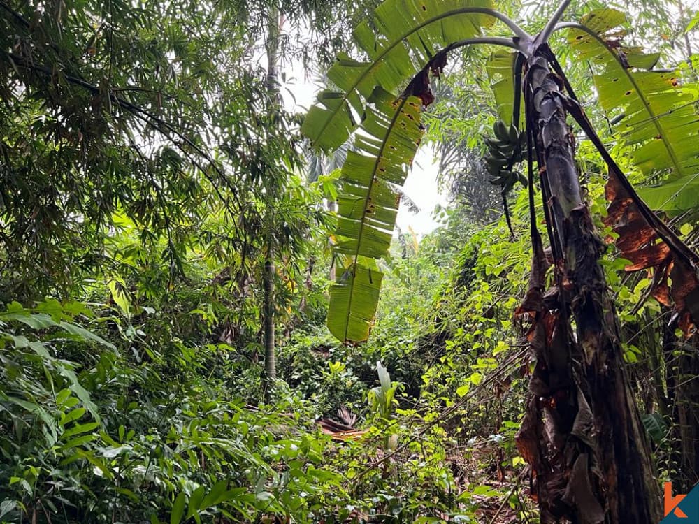 1158 m² Land Plot for Sale in Mengwi, Bali — photo 1