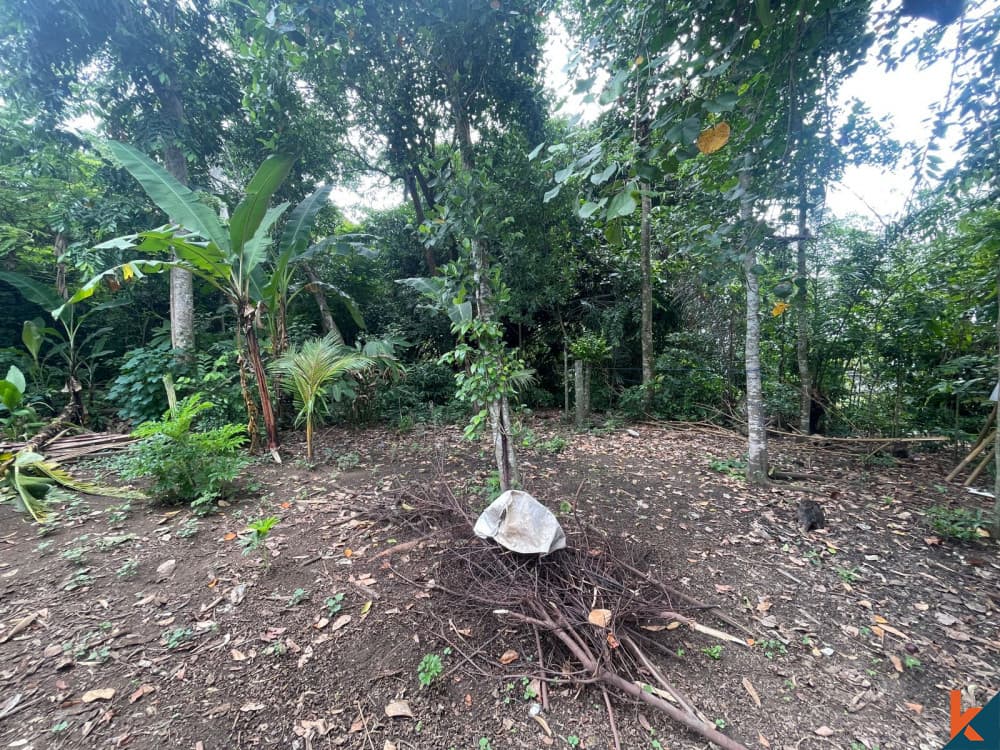 420 m² Land Plot for Sale in Tabanan, Bali — photo 1