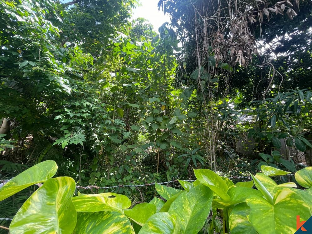 608 m² Land Plot for Sale in Seminyak, Bali — photo 1