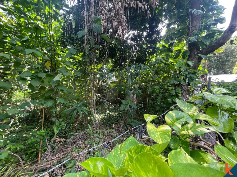 608 m² Land Plot for Sale in Seminyak, Bali — photo 2