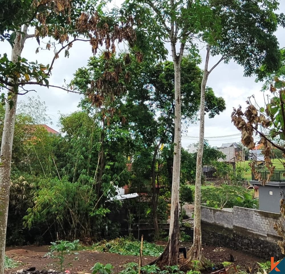 700 m² Land Plot for Sale in Canggu, Bali — photo 2