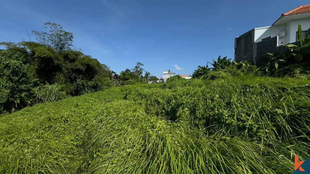 2200 m² Land Plot for Sale in Canggu, Bali