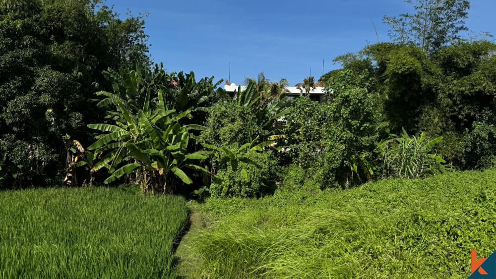 2200 m² Land Plot for Sale in Canggu, Bali — photo 2