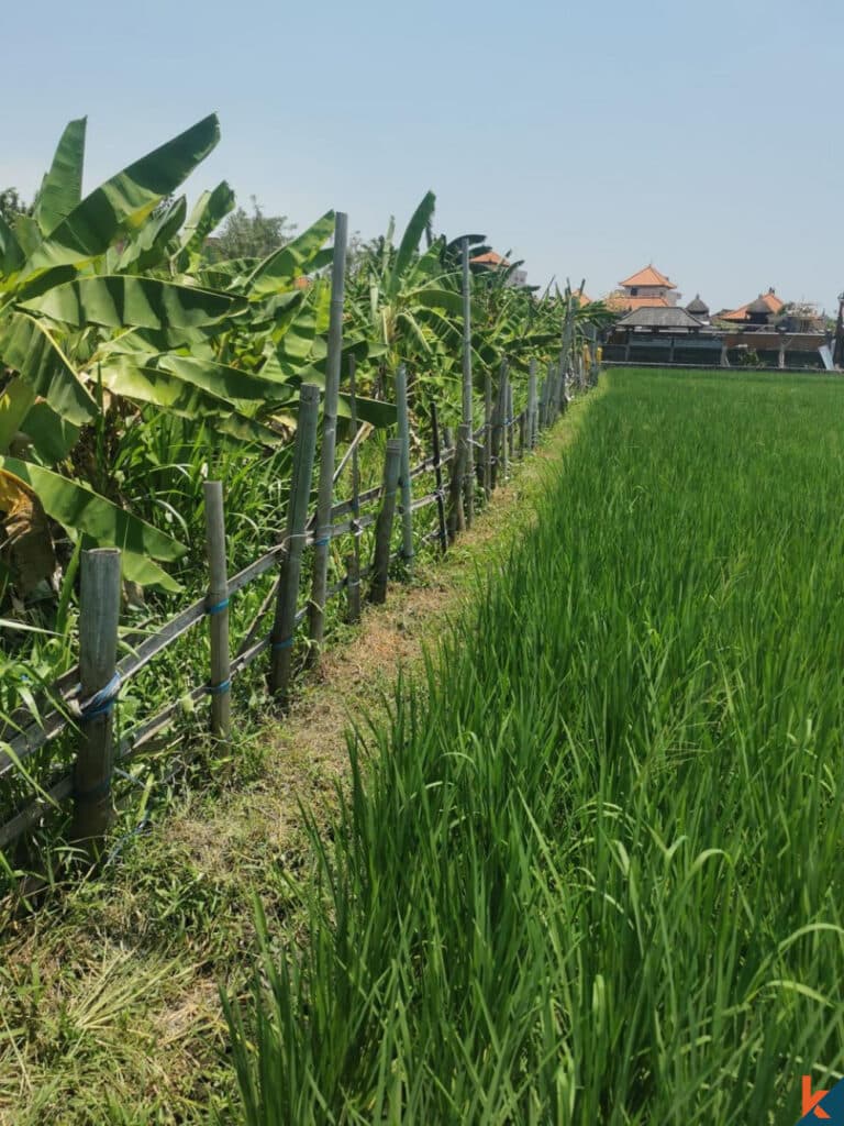 610 m² Land Plot for Sale in Seminyak, Bali — photo 2