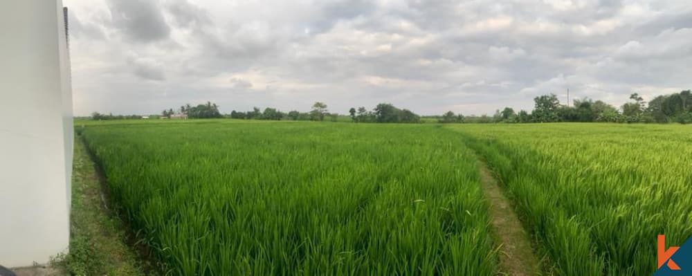 800 m² Land Plot for Sale in Seseh, Bali — photo 2