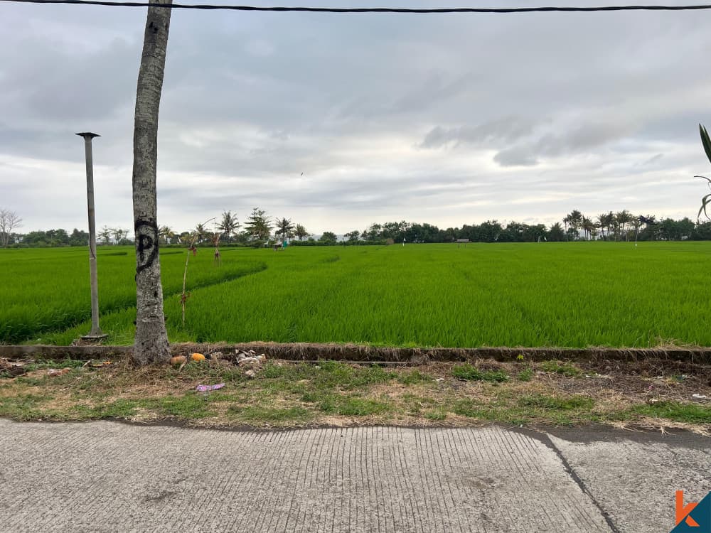13000 m² Land Plot for Sale in Pekutatan, Bali — photo 1