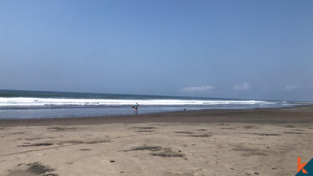 13000 m² Land Plot for Sale in Pekutatan, Bali — photo 2
