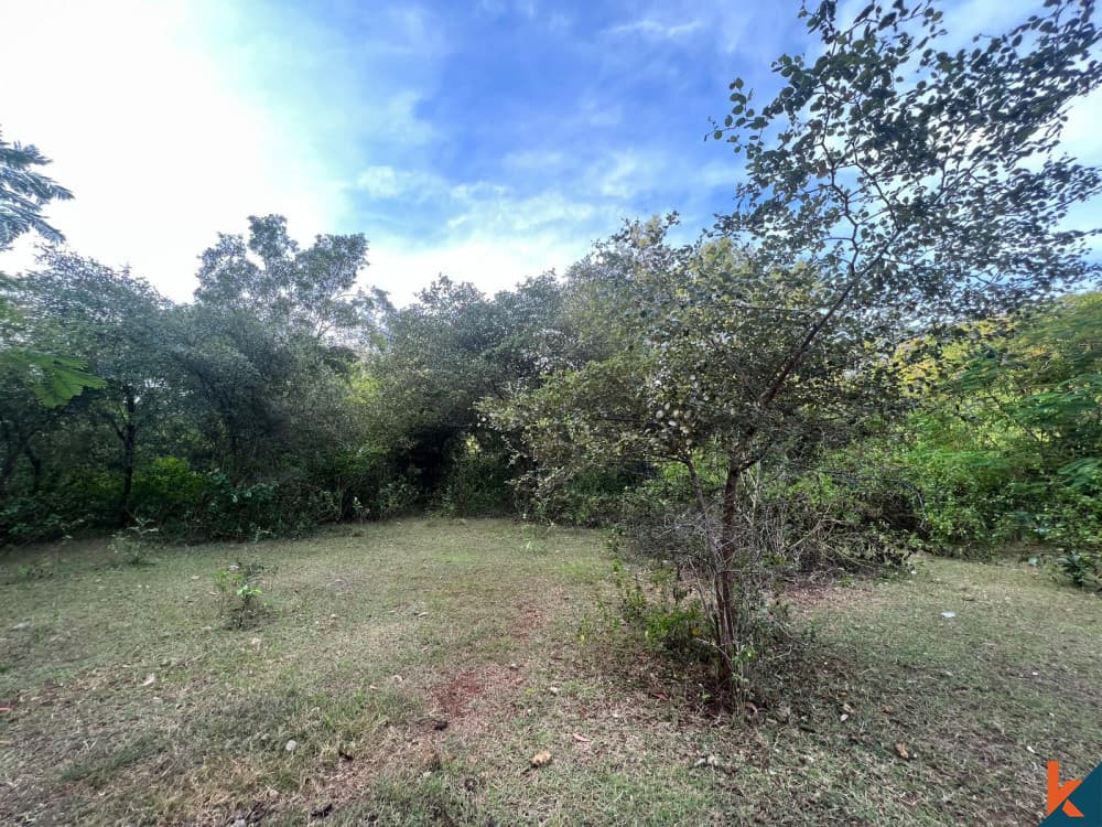 800 m² Land Plot for Sale in Ungasan, Bali — photo 2