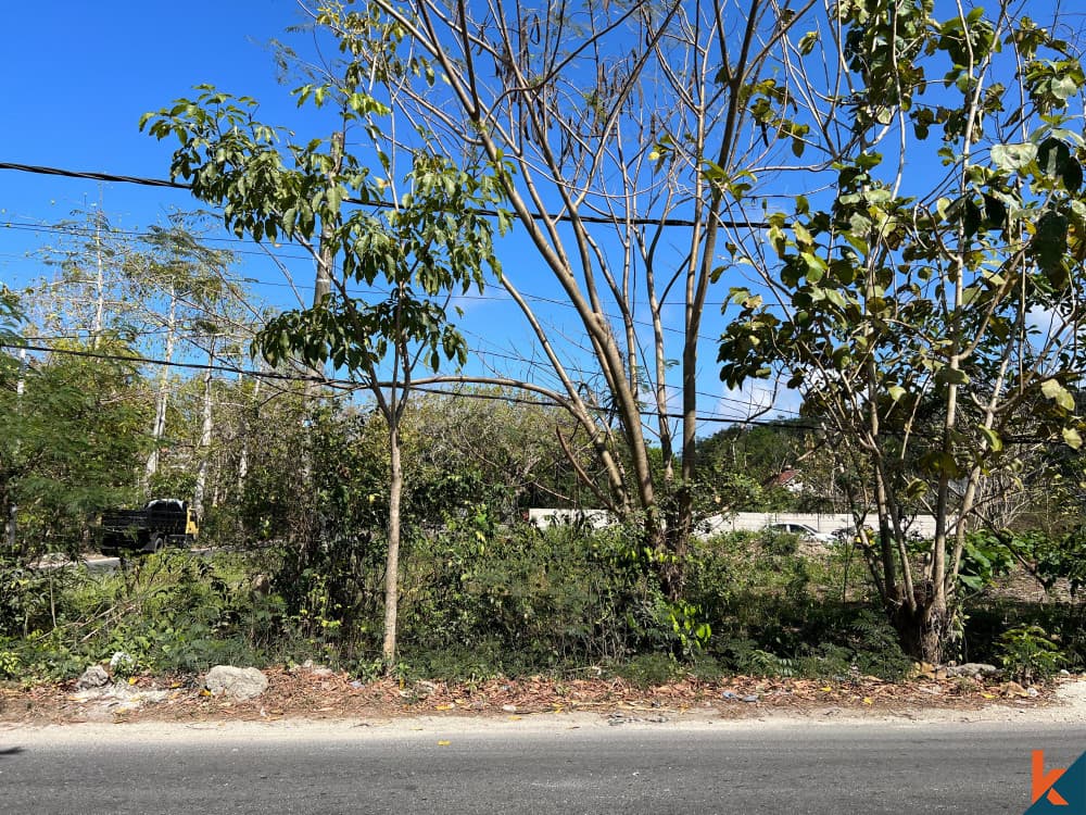 1100 m² Land Plot for Sale in Ungasan, Bali — photo 2
