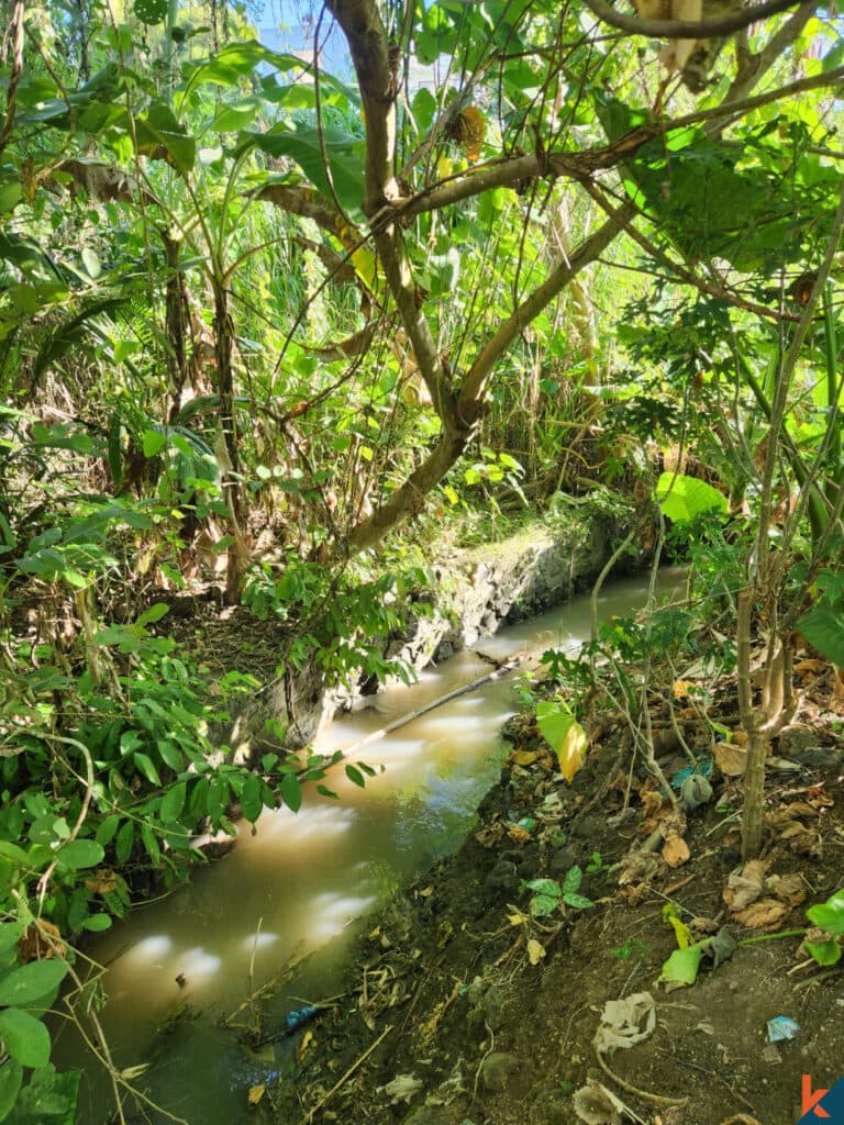 585 m² Land Plot for Sale in Mengwi, Bali — photo 2