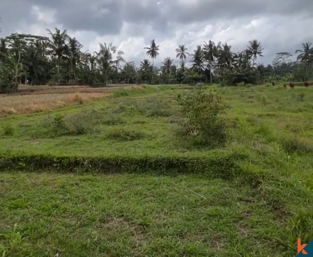 3100 m² Land Plot for Sale in Tegallalang, Bali — photo 1