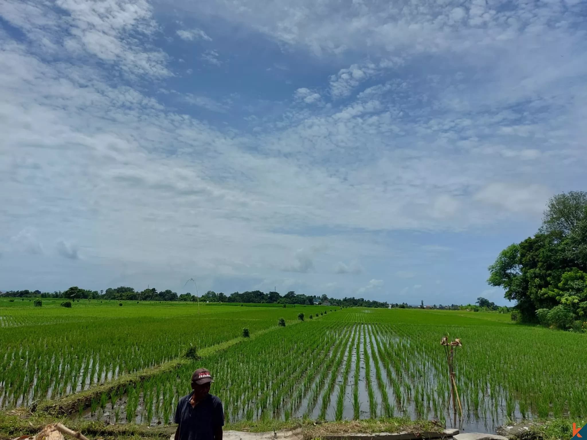 260 m² Land Plot for Sale in Kedungu, Bali — photo 1