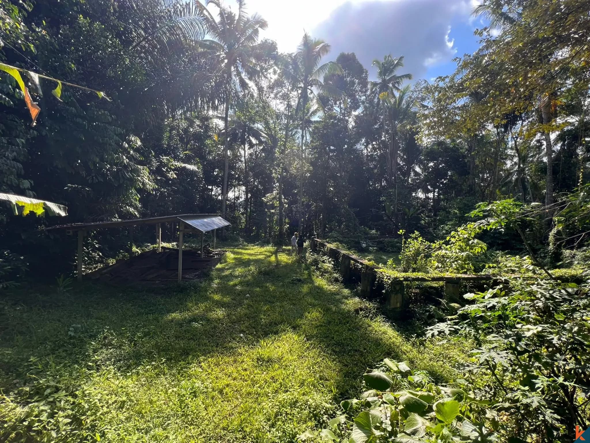 1230 m² Land Plot for Sale in Tegallalang, Bali — photo 1