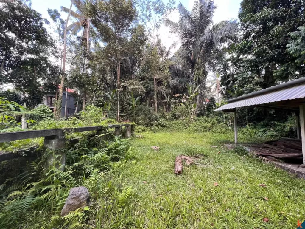 1230 m² Land Plot for Sale in Tegallalang, Bali — photo 2