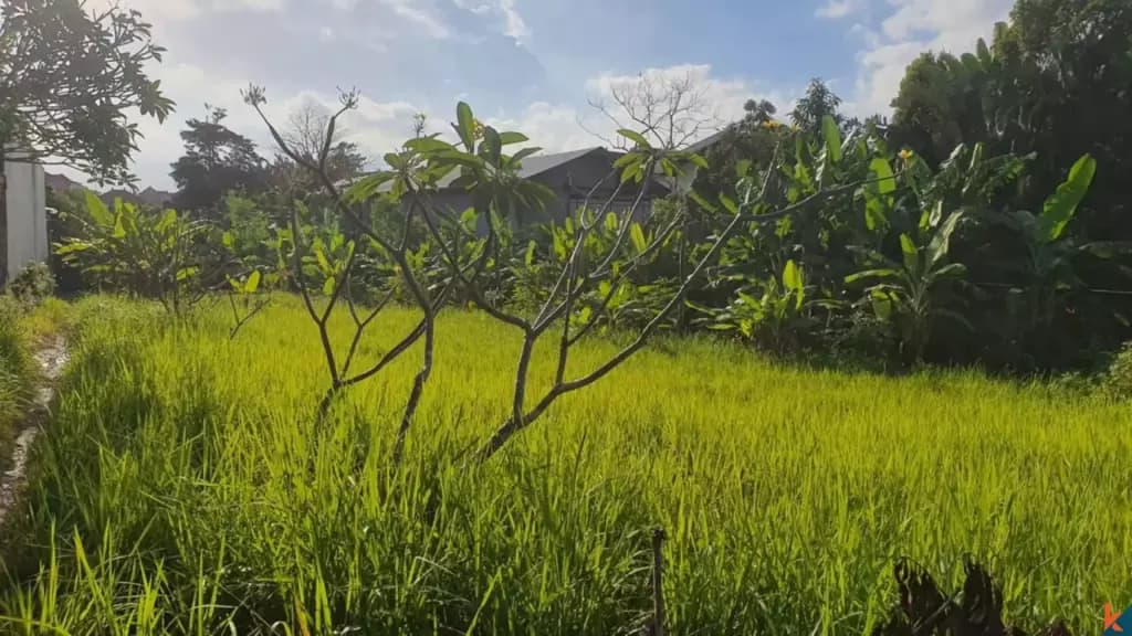 1000 m² Land Plot for Sale in Kerobokan, Bali — photo 2