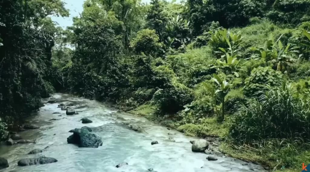 1300 m² Land Plot for Sale in Tabanan, Bali — photo 2