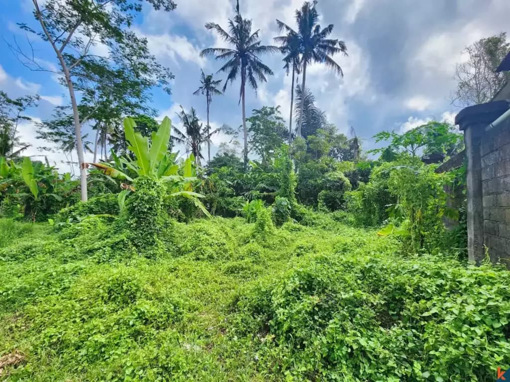 5028 m² Land Plot for Sale in Ubud, Bali — photo 2