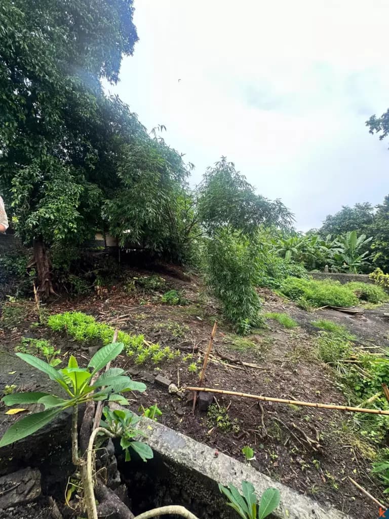 700 m² Land Plot for Sale in Umalas, Bali — photo 2