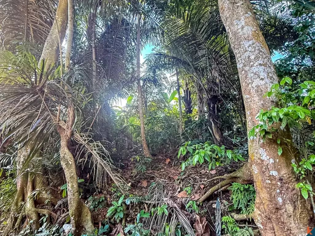 700 m² Land Plot for Sale in Cepaka, Bali — photo 2