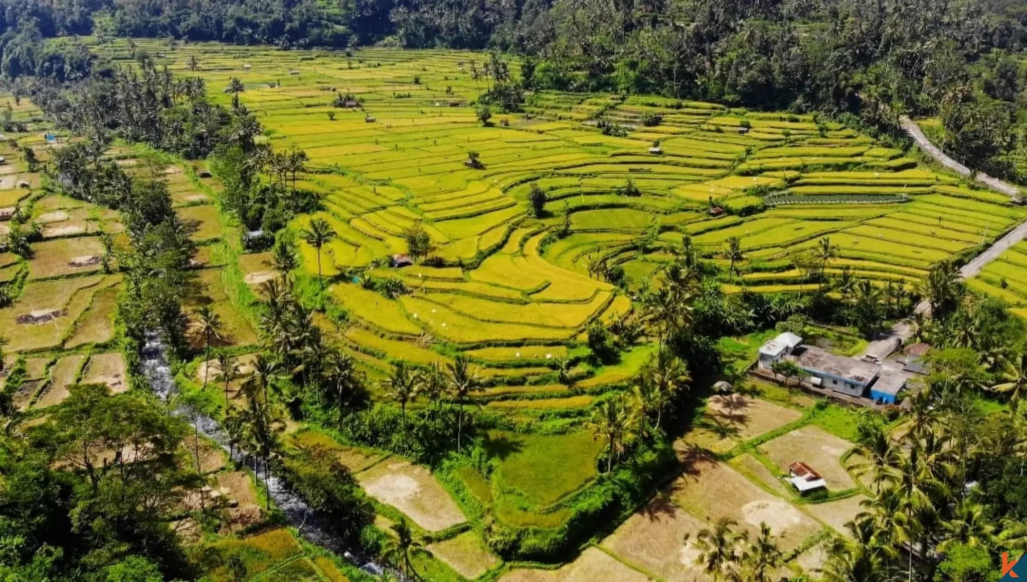 2000 m² Land Plot for Sale in Karangasem, Bali